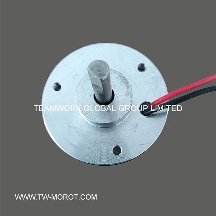 High Performance DC Motor For Small Household Appliance