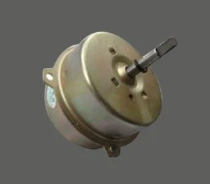 Bath Fan Motor
