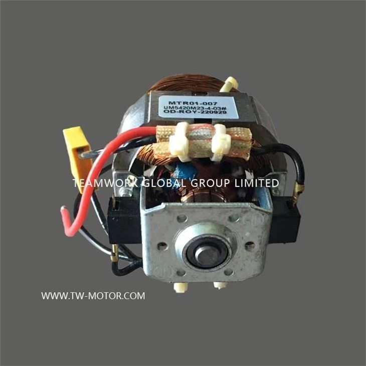 Fruit And Vegetable Mixer Motor