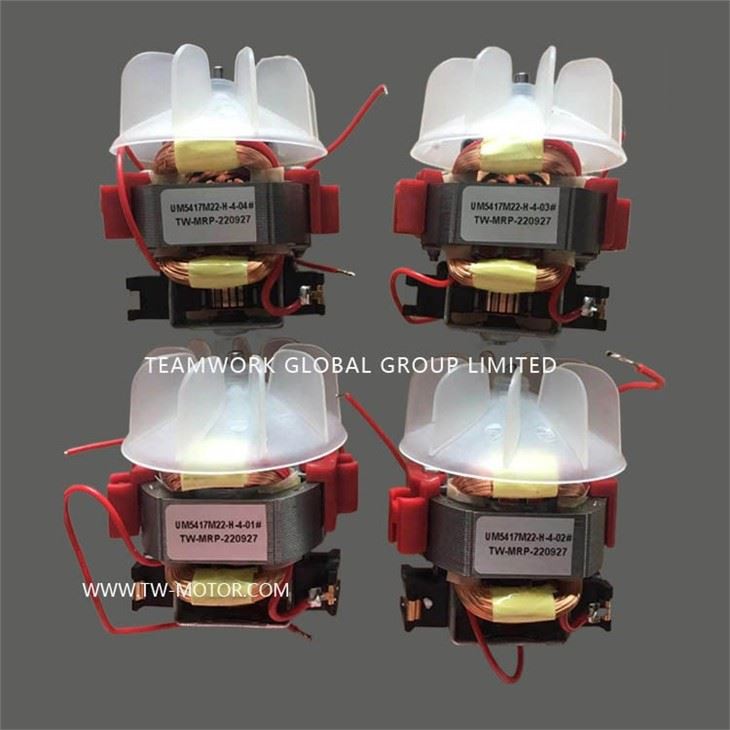 Multi-Functional Coffee Mill Motor