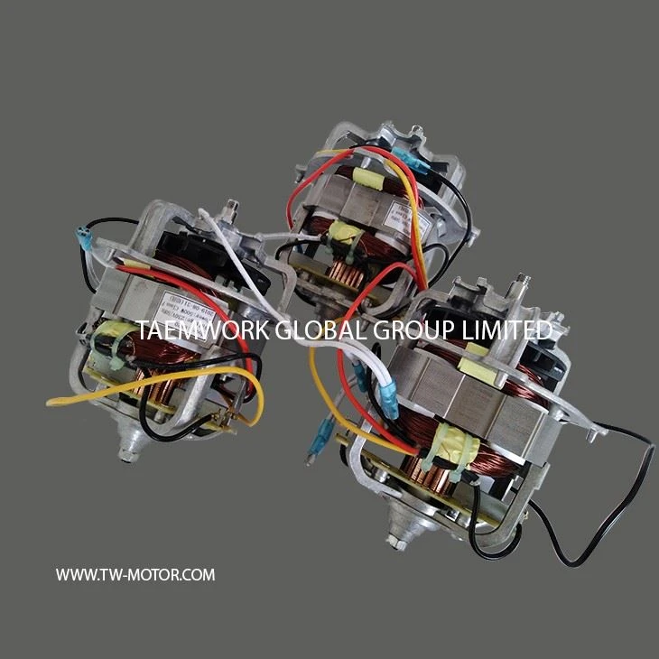 Simple And Fast Food Processing Motor