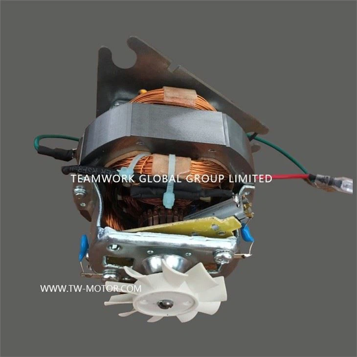 Wall Breaking Machine Motor