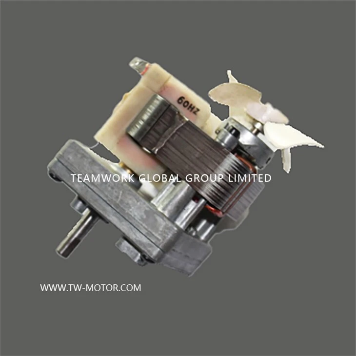 Electric Oven Asynchronous Motor