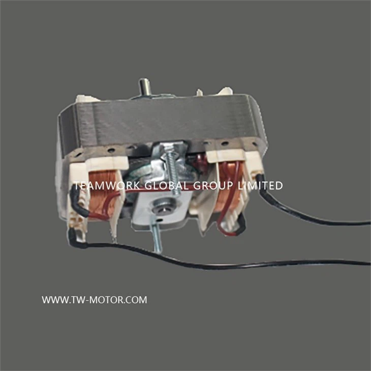 Mic-oven Motor