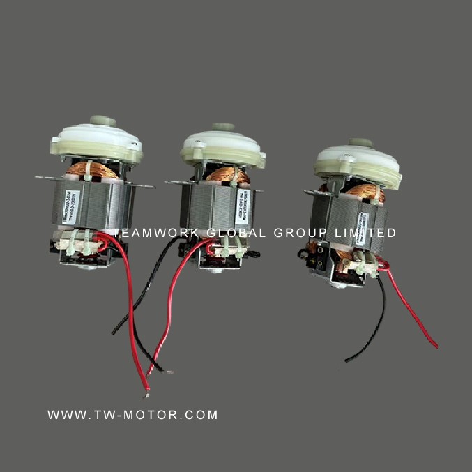 Mini Blender Motor