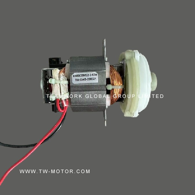 Mini Blender Motor