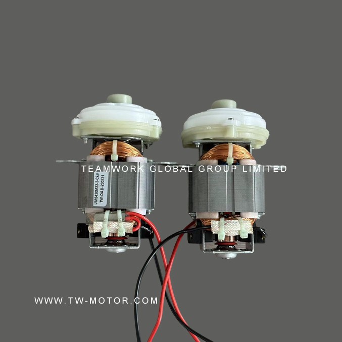 Mini Blender Motor