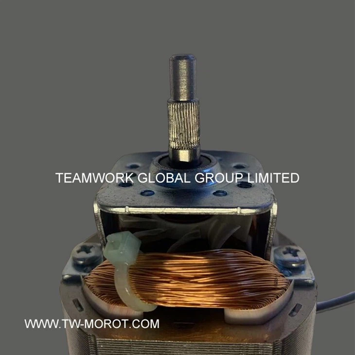 Quiet Blender Motor For Juicing